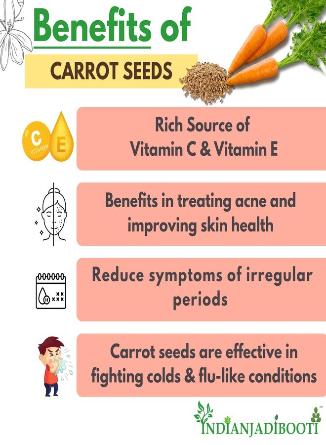 IndianJadiBooti Edible Carrot Seeds | For Good Skin Health & Immunity Benefits - Gajar ke Beej for Eating- Daucus carota | 250 Grams - Image 3